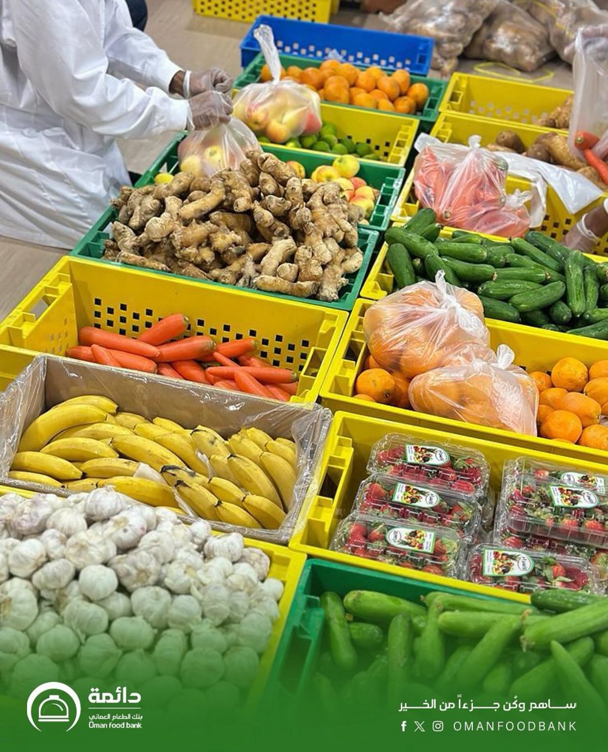 فرز و تغليف خضروات وفواكة