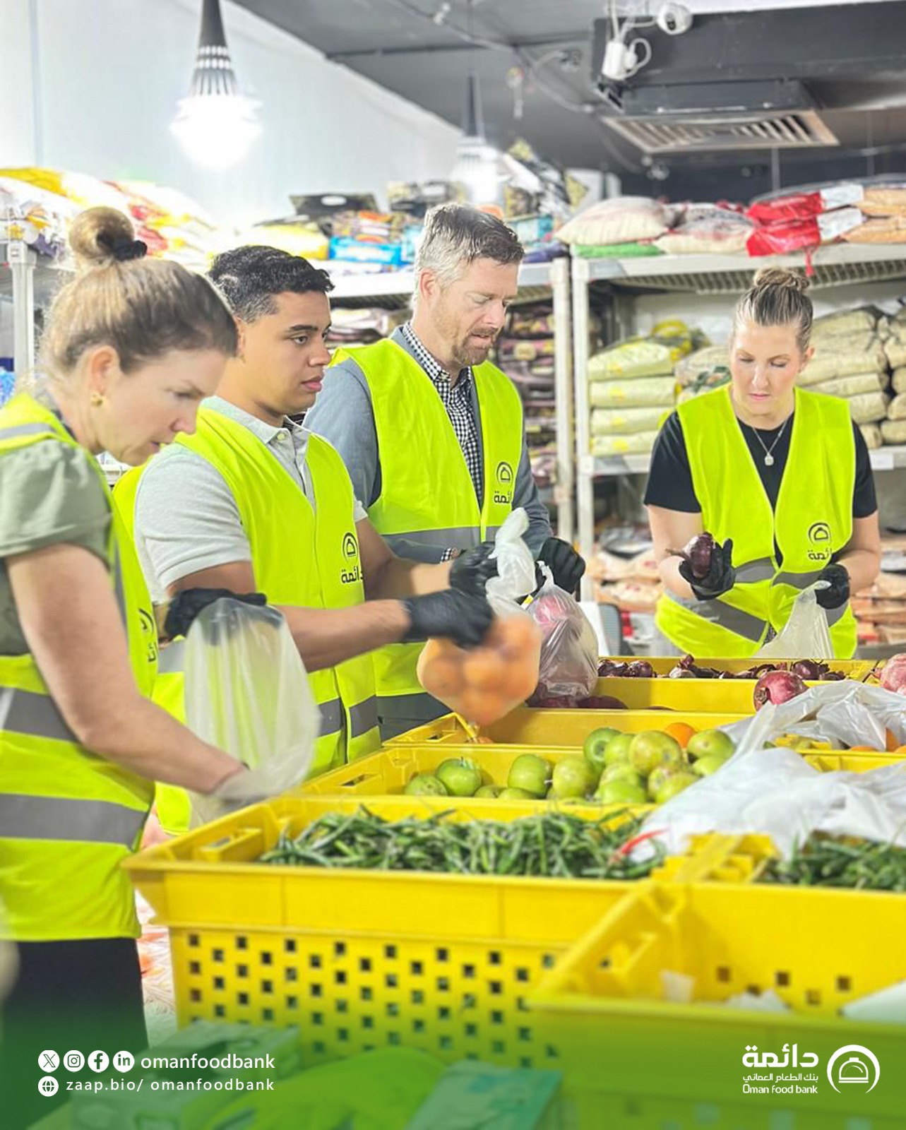 فرز و تغليف خضروات وفواكة 3